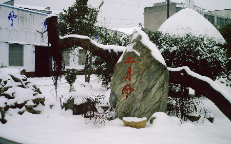 二月風(fēng)致老友：一碗葛根粉的牽掛，農(nóng)博會(huì)上的重逢之約二月風(fēng)盼老友：農(nóng)博會(huì)上，再續(xù)葛粉情緣