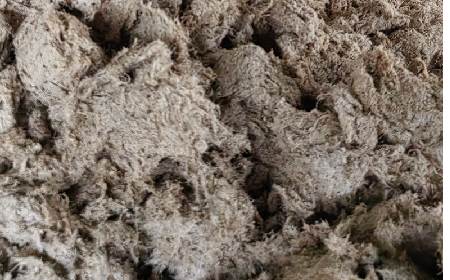 深入大洪山，只為一口純凈 -二月風(fēng)今冬野生葛根收購紀(jì)實(shí)